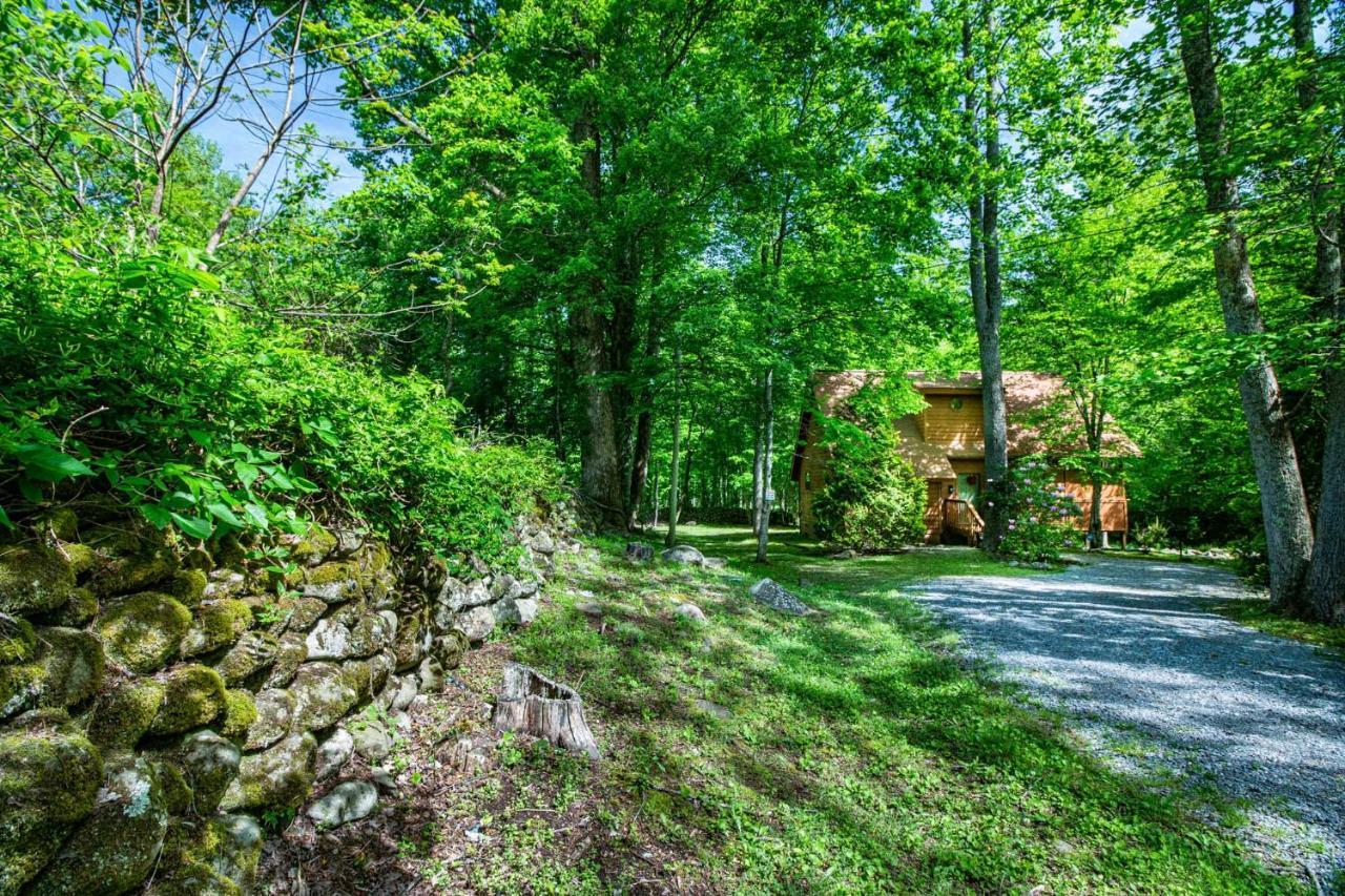 Bear Footin' On The Creek Villa Gatlinburg Exteriör bild