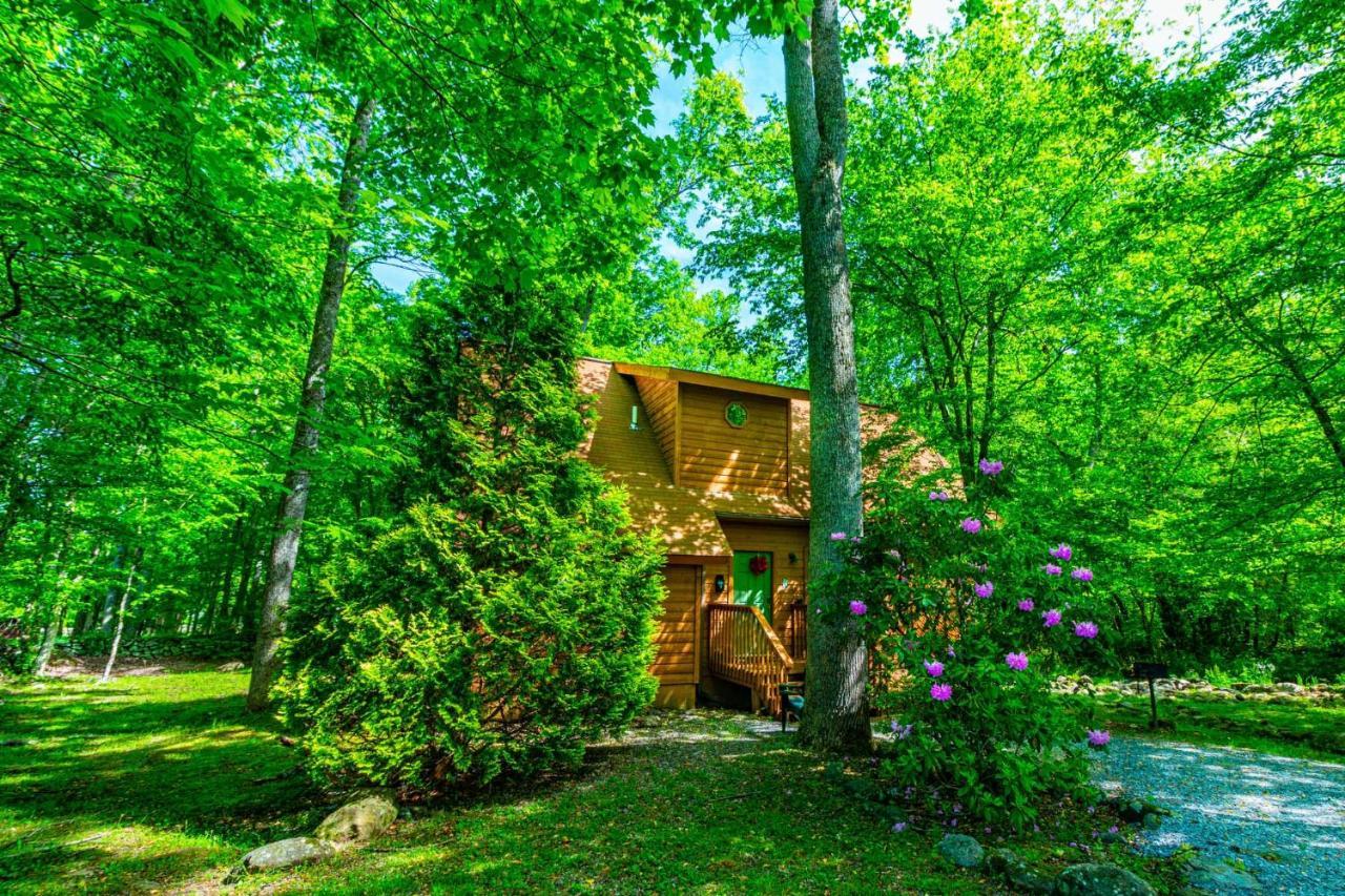 Bear Footin' On The Creek Villa Gatlinburg Exteriör bild