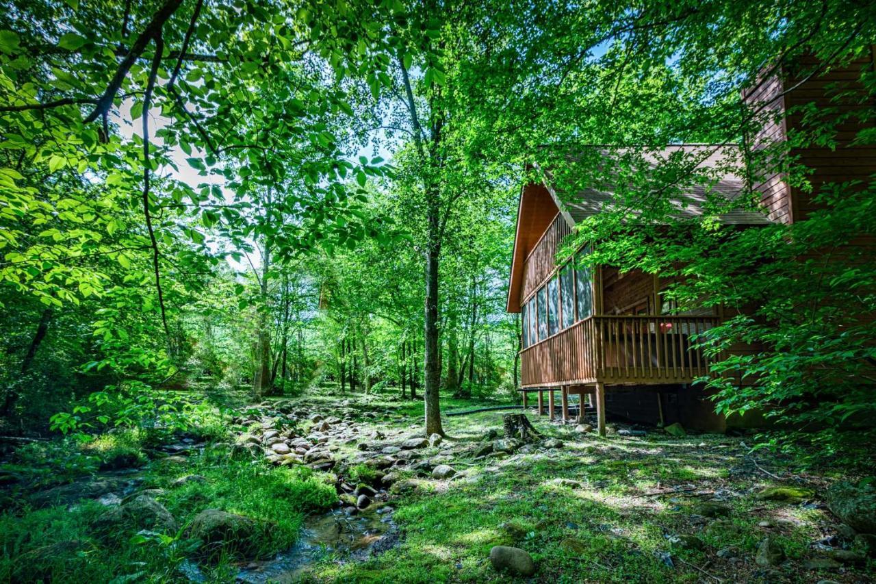 Bear Footin' On The Creek Villa Gatlinburg Exteriör bild