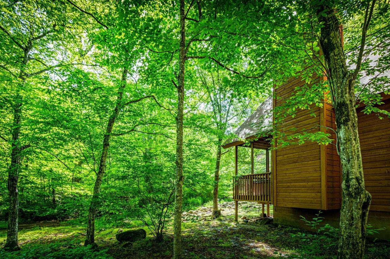 Bear Footin' On The Creek Villa Gatlinburg Exteriör bild