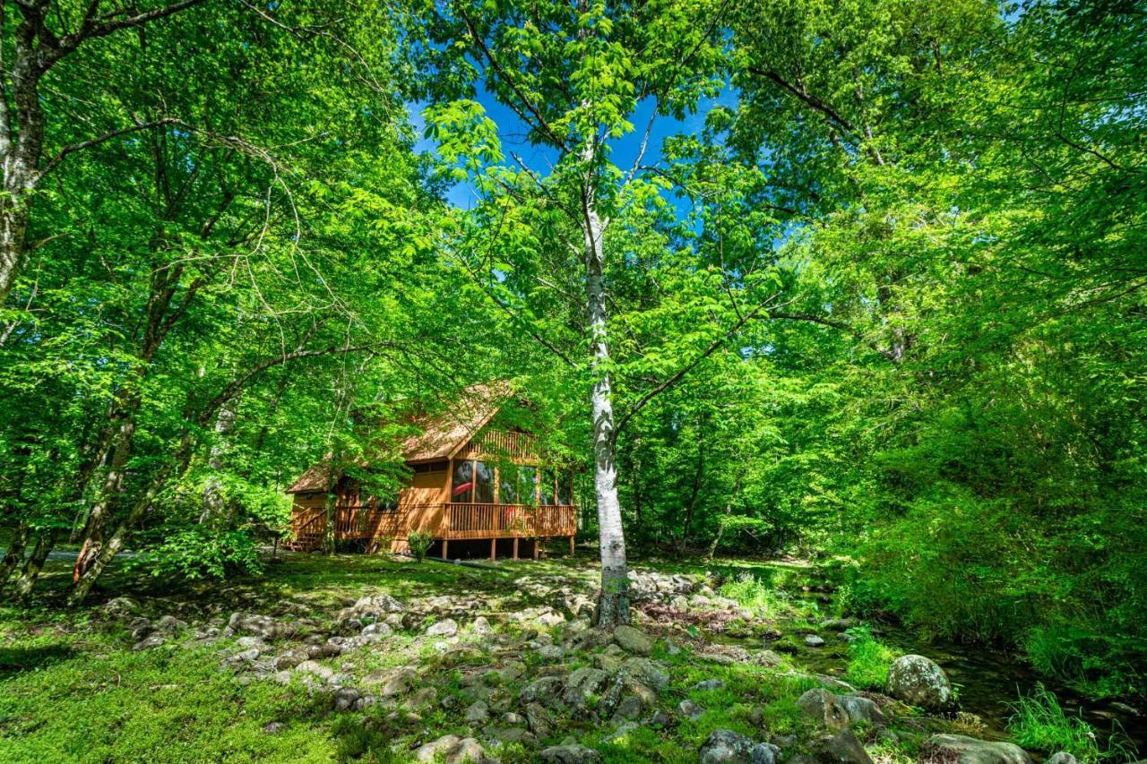 Bear Footin' On The Creek Villa Gatlinburg Exteriör bild